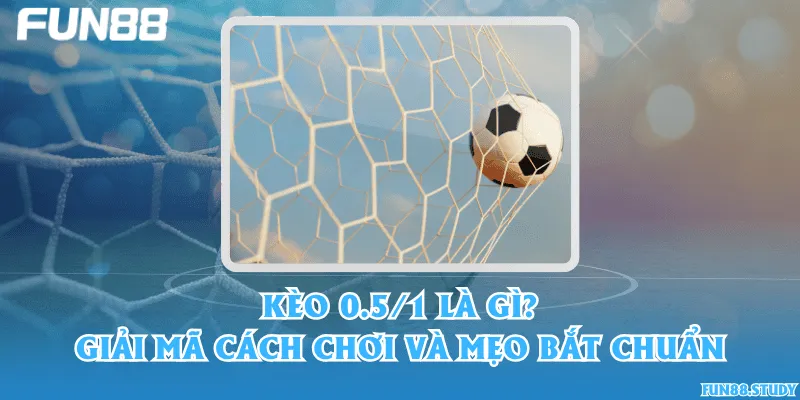 Kèo 0.5/1 là gì? Giải mã cách chơi và mẹo bắt chuẩn
