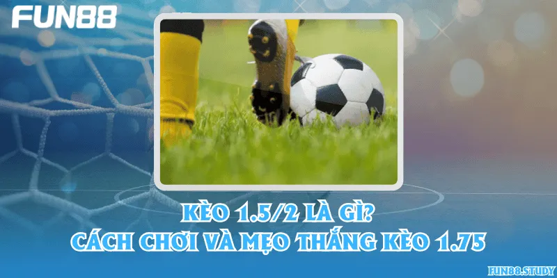 Kèo 1.5/2 là gì? Cách chơi và mẹo thắng kèo 1.75
