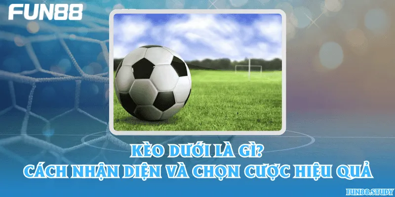 Kèo dưới là gì? Cách nhận diện và chọn cược hiệu quả