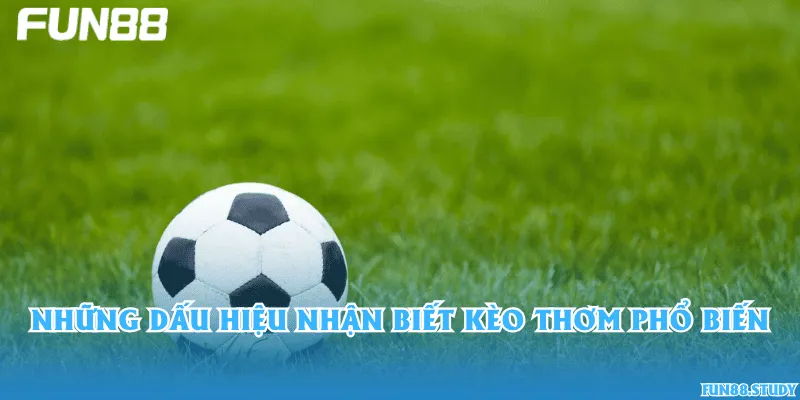 Những dấu hiệu nhận biết kèo thơm phổ biến